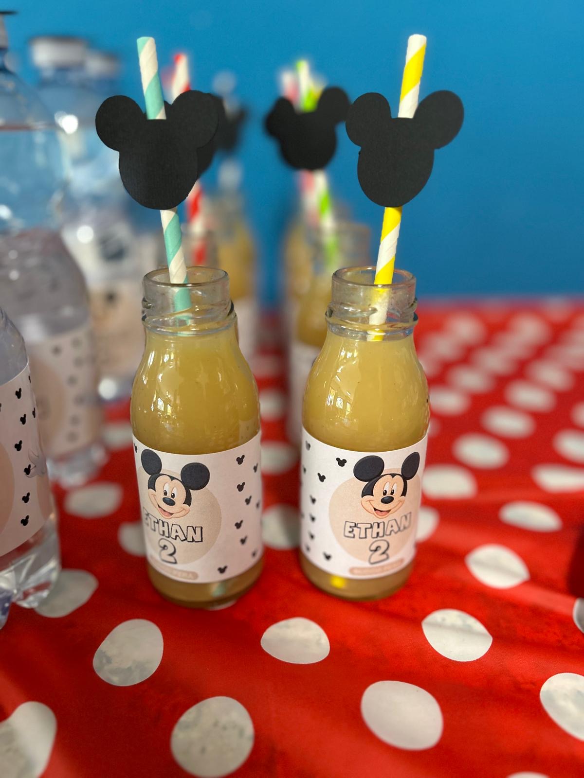 ETICHETTE SUCCHI DI FRUTTA - SET 10 PEZZI