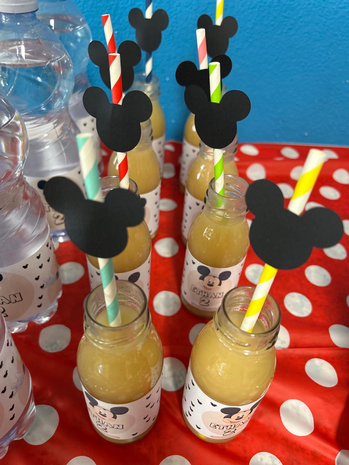 ETICHETTE SUCCHI DI FRUTTA - SET 10 PEZZI
